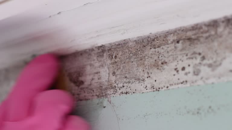 Best Forensic Mold Investigation  in Dawson, GA